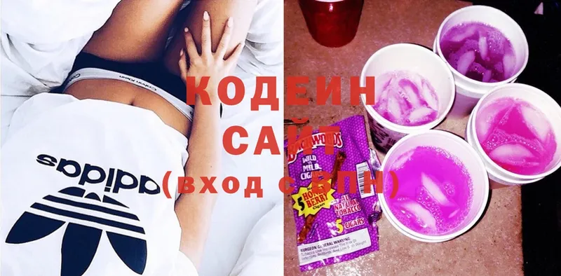 наркотики  Заводоуковск  Codein Purple Drank 